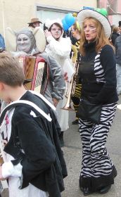 Zebras, Eisbären und Elefanten.JPG